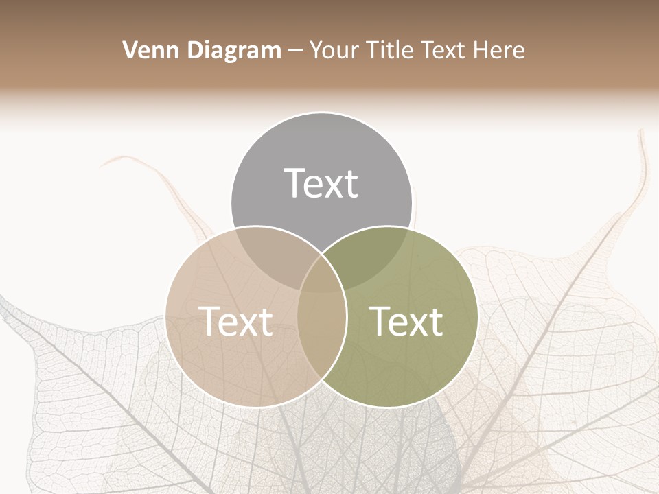 Czech Republic Insignia Element PowerPoint Template