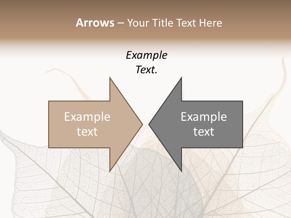 Czech Republic Insignia Element PowerPoint Template