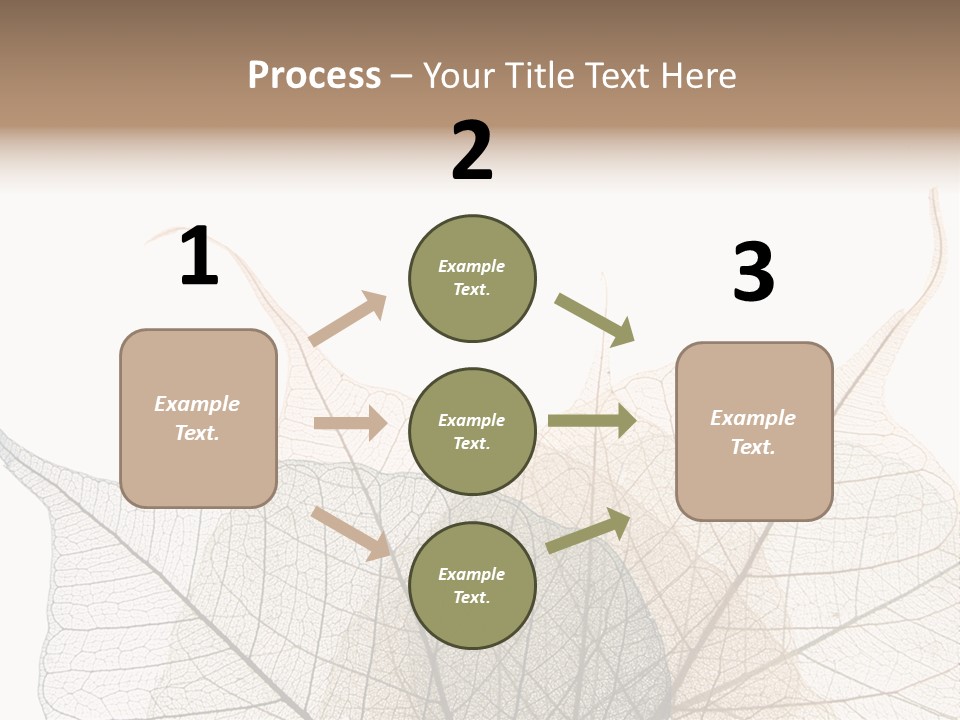 Czech Republic Insignia Element PowerPoint Template