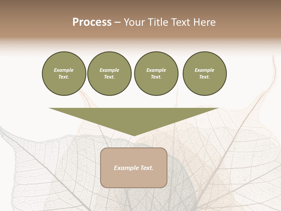 Czech Republic Insignia Element PowerPoint Template