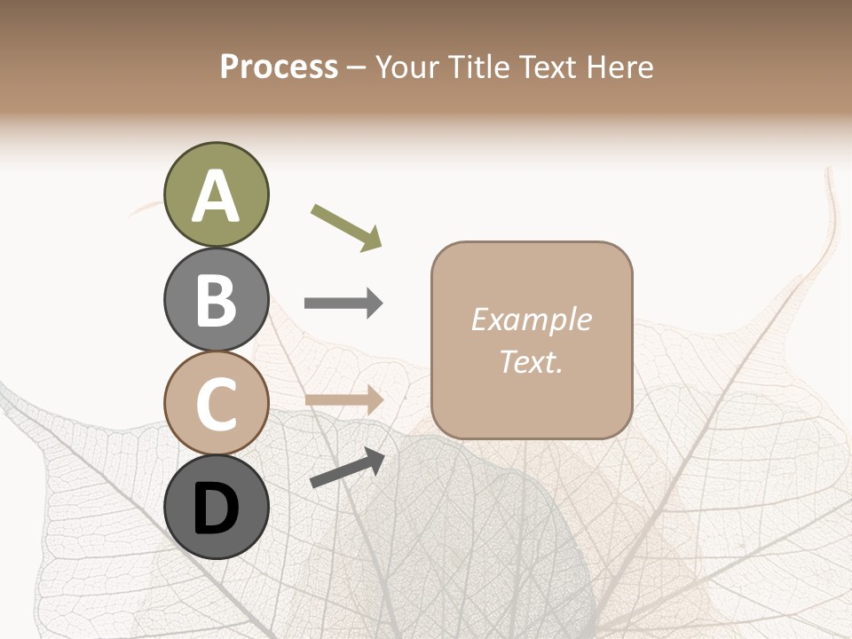 Czech Republic Insignia Element PowerPoint Template