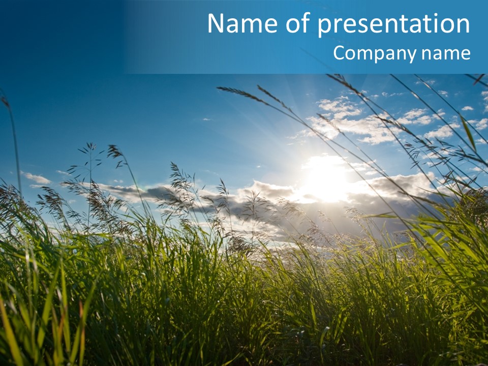 The Sun Is Shining Through The Clouds Over The Grass PowerPoint Template