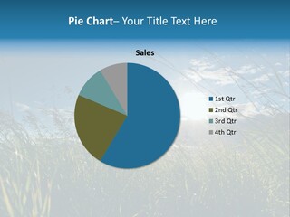 The Sun Is Shining Through The Clouds Over The Grass PowerPoint Template