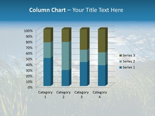 The Sun Is Shining Through The Clouds Over The Grass PowerPoint Template