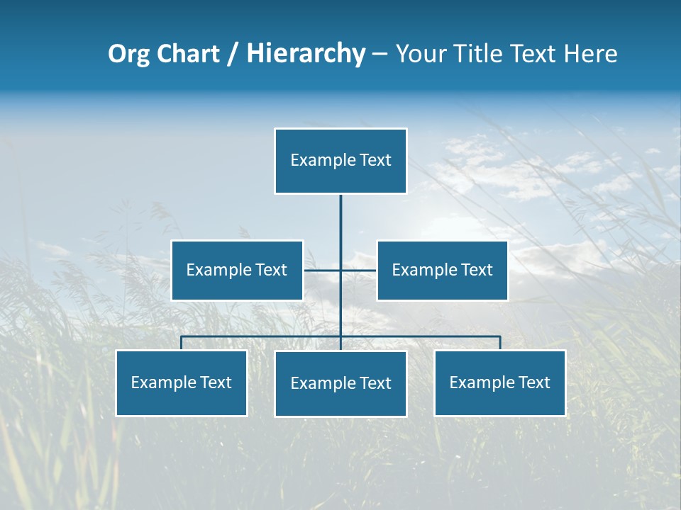 The Sun Is Shining Through The Clouds Over The Grass PowerPoint Template