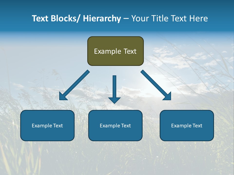 The Sun Is Shining Through The Clouds Over The Grass PowerPoint Template