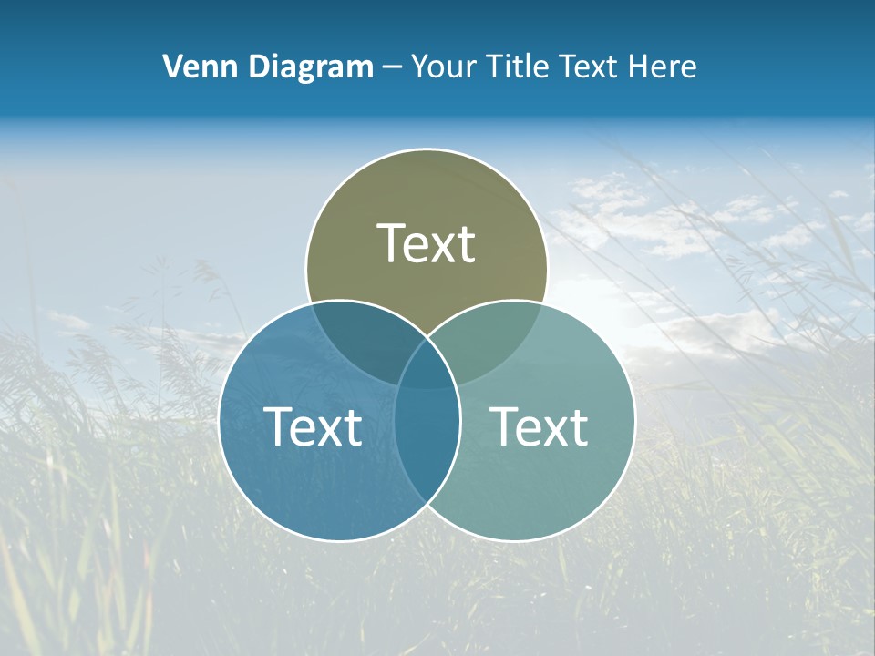 The Sun Is Shining Through The Clouds Over The Grass PowerPoint Template