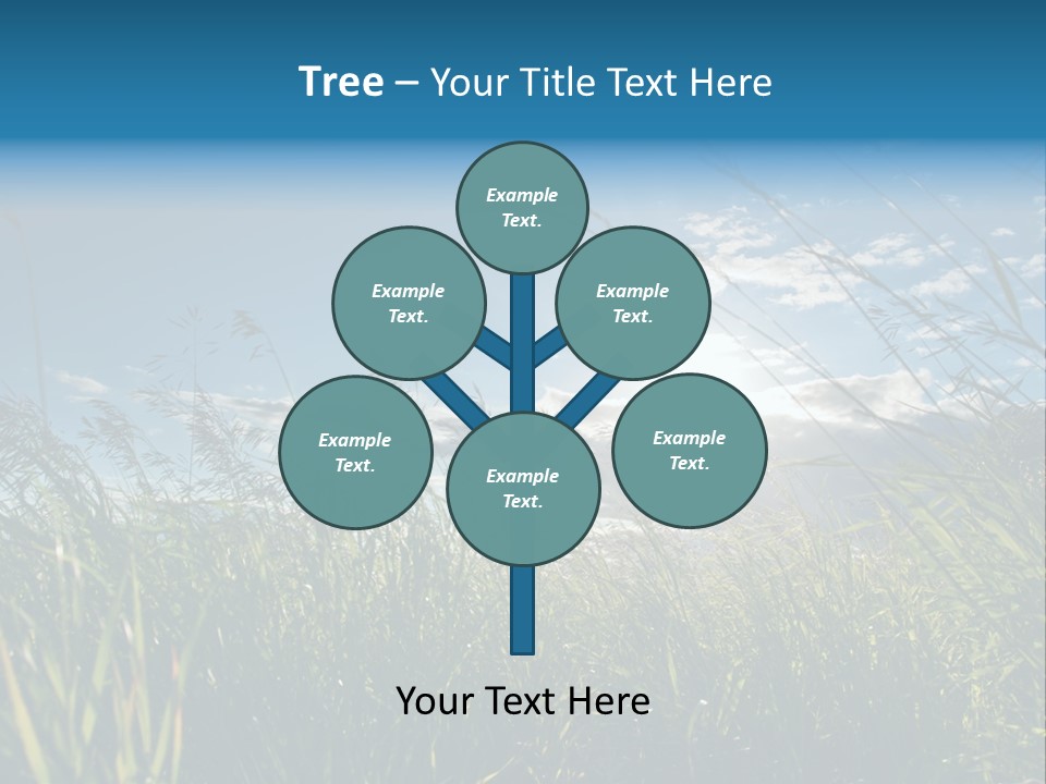 The Sun Is Shining Through The Clouds Over The Grass PowerPoint Template