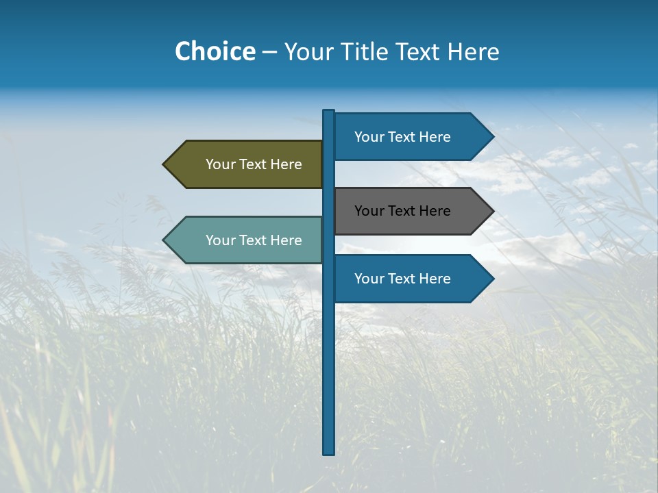 The Sun Is Shining Through The Clouds Over The Grass PowerPoint Template