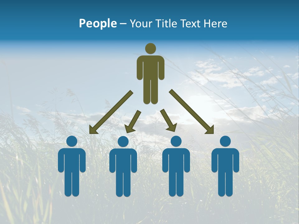 The Sun Is Shining Through The Clouds Over The Grass PowerPoint Template