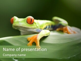 A Frog Sitting On Top Of A Green Leaf PowerPoint Template