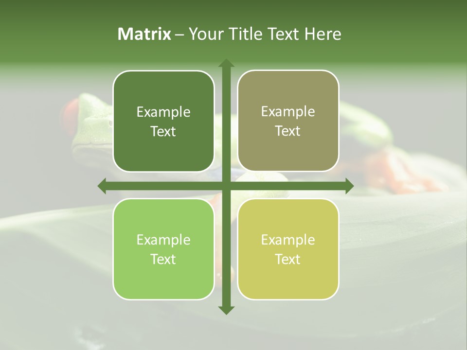 A Frog Sitting On Top Of A Green Leaf PowerPoint Template