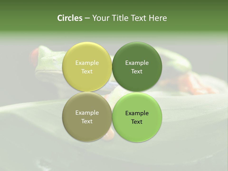 A Frog Sitting On Top Of A Green Leaf PowerPoint Template