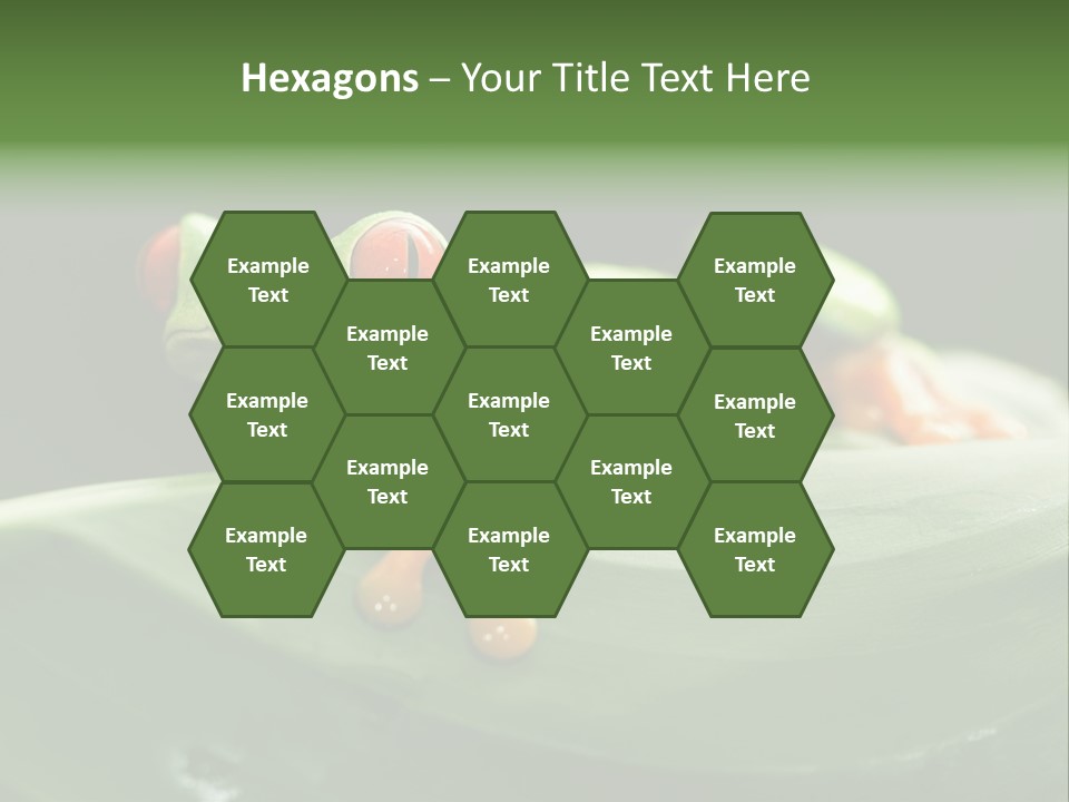 A Frog Sitting On Top Of A Green Leaf PowerPoint Template