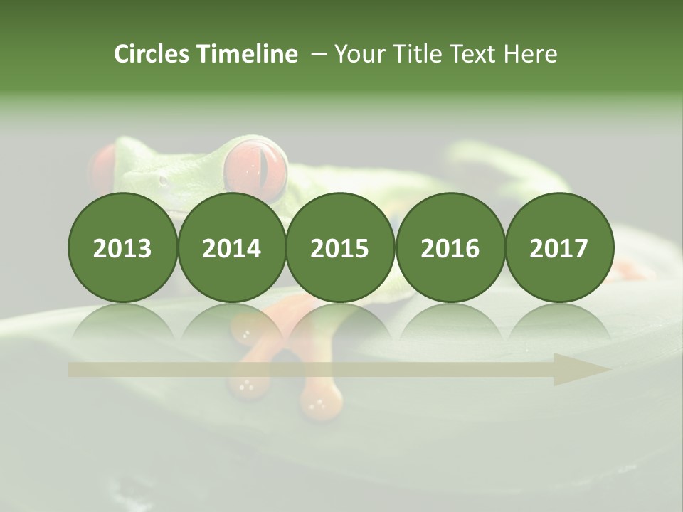 A Frog Sitting On Top Of A Green Leaf PowerPoint Template