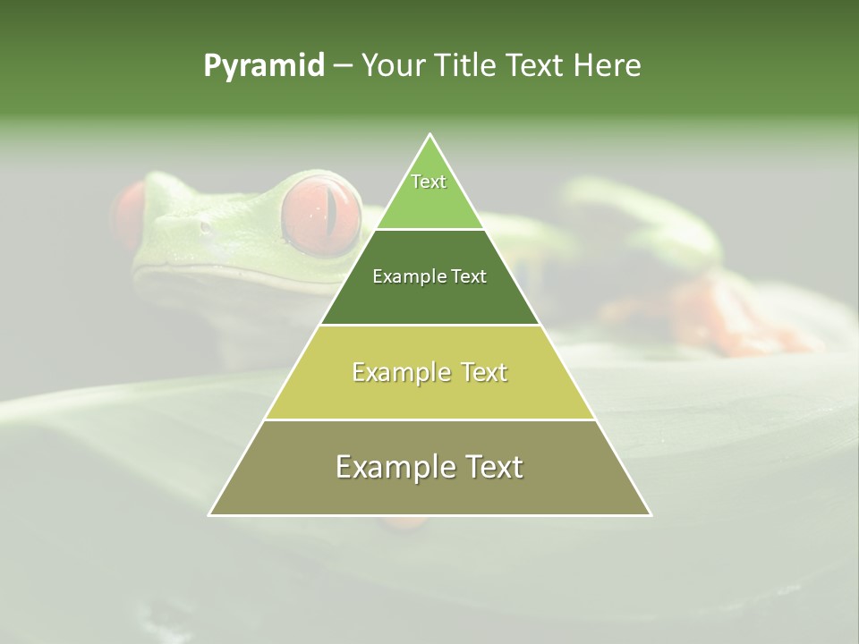 A Frog Sitting On Top Of A Green Leaf PowerPoint Template
