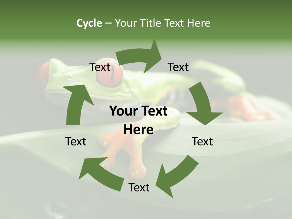 A Frog Sitting On Top Of A Green Leaf PowerPoint Template