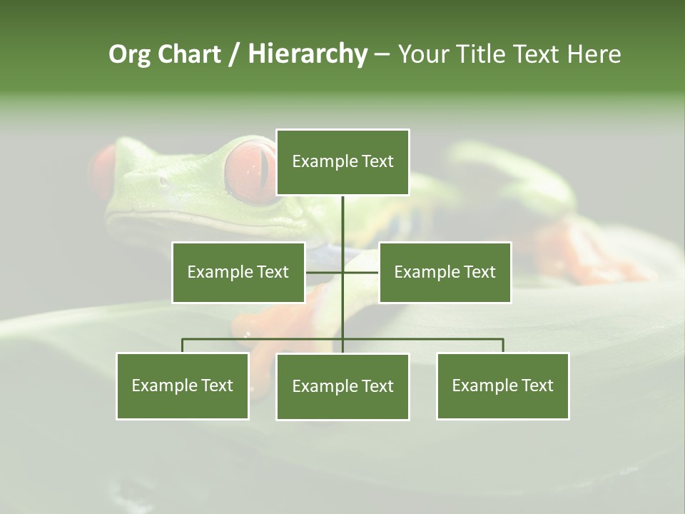 A Frog Sitting On Top Of A Green Leaf PowerPoint Template