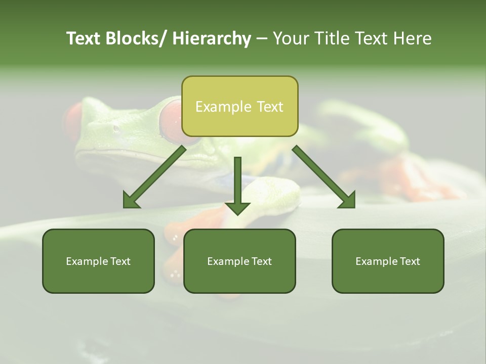 A Frog Sitting On Top Of A Green Leaf PowerPoint Template