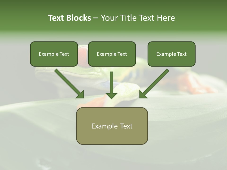A Frog Sitting On Top Of A Green Leaf PowerPoint Template