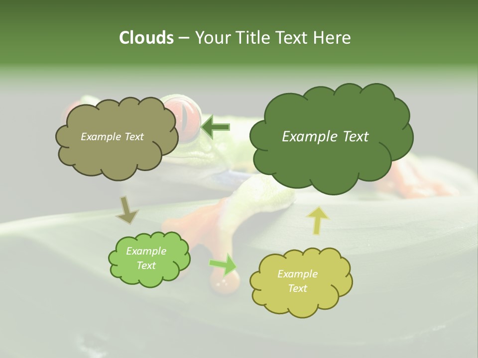 A Frog Sitting On Top Of A Green Leaf PowerPoint Template