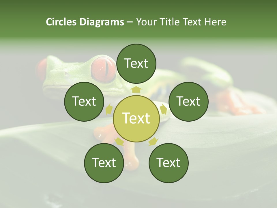 A Frog Sitting On Top Of A Green Leaf PowerPoint Template