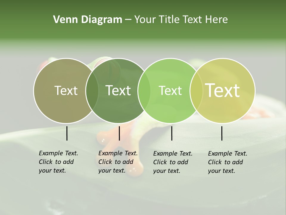 A Frog Sitting On Top Of A Green Leaf PowerPoint Template