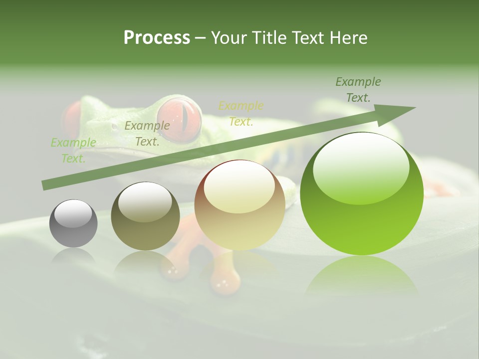 A Frog Sitting On Top Of A Green Leaf PowerPoint Template