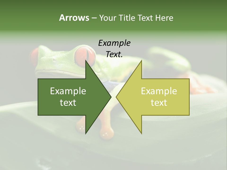 A Frog Sitting On Top Of A Green Leaf PowerPoint Template