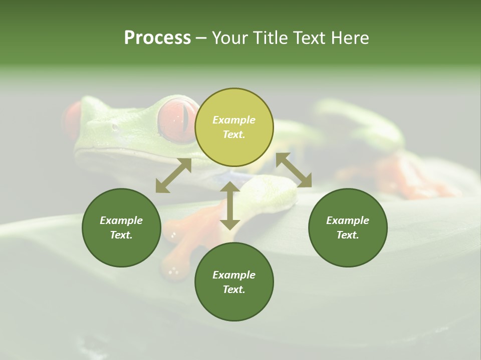 A Frog Sitting On Top Of A Green Leaf PowerPoint Template