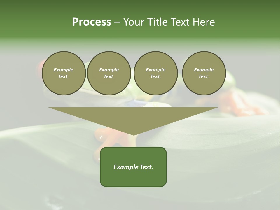 A Frog Sitting On Top Of A Green Leaf PowerPoint Template