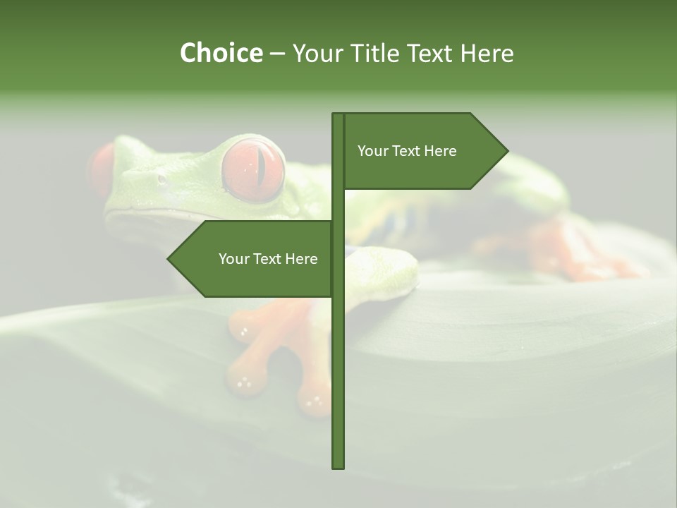 A Frog Sitting On Top Of A Green Leaf PowerPoint Template