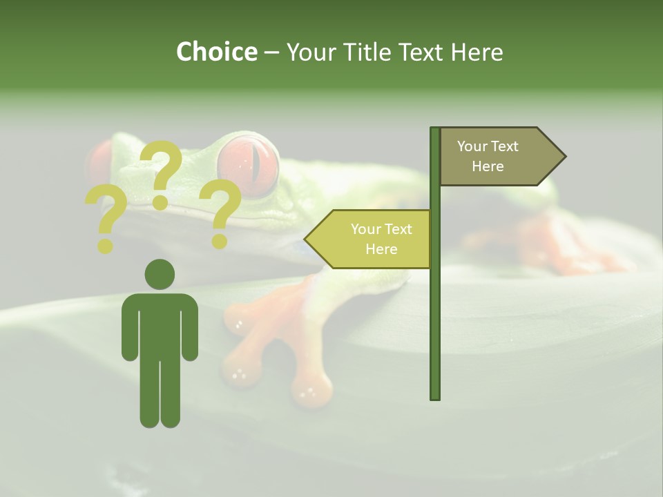 A Frog Sitting On Top Of A Green Leaf PowerPoint Template