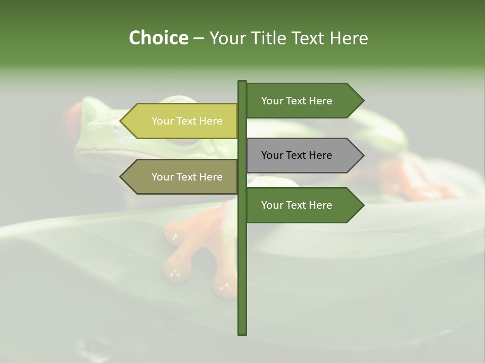 A Frog Sitting On Top Of A Green Leaf PowerPoint Template