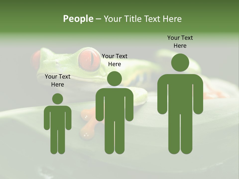 A Frog Sitting On Top Of A Green Leaf PowerPoint Template