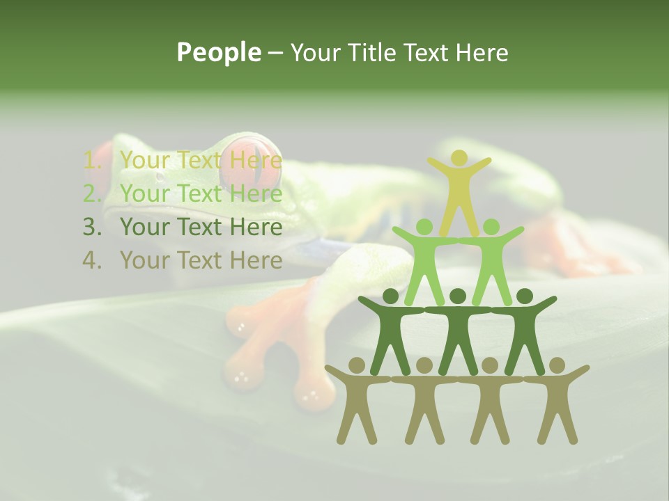 A Frog Sitting On Top Of A Green Leaf PowerPoint Template
