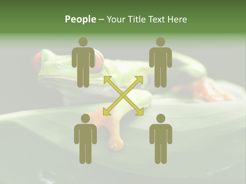 A Frog Sitting On Top Of A Green Leaf PowerPoint Template