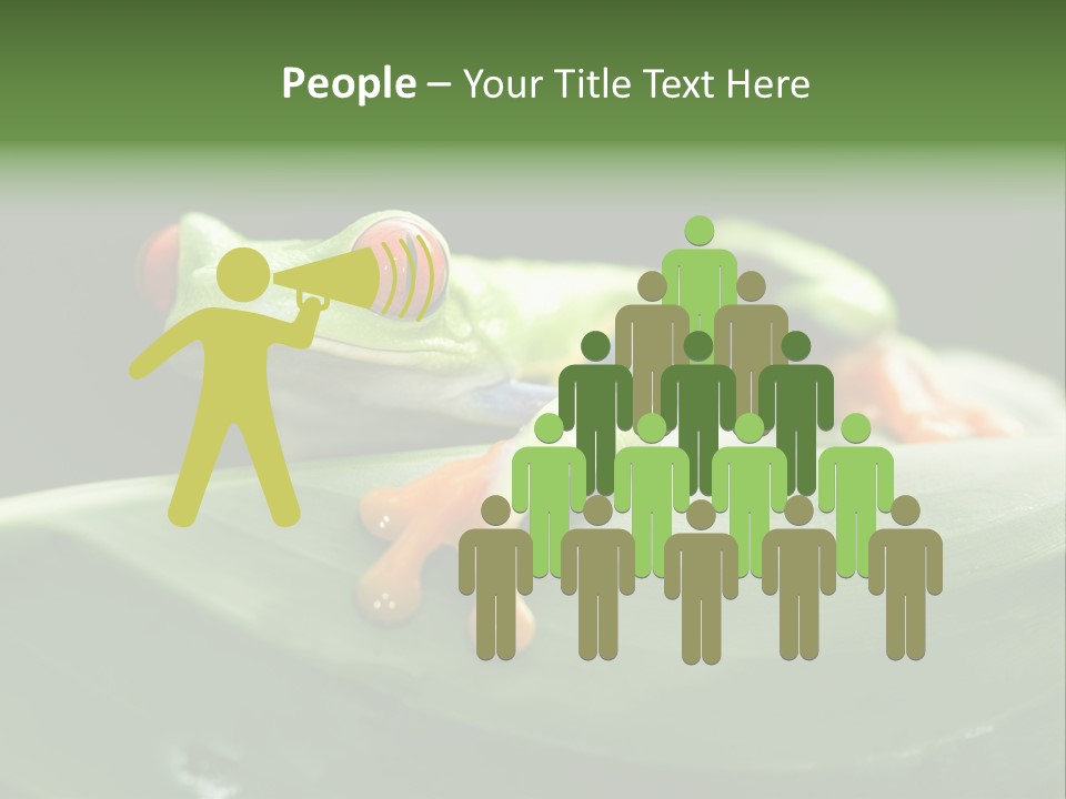 A Frog Sitting On Top Of A Green Leaf PowerPoint Template
