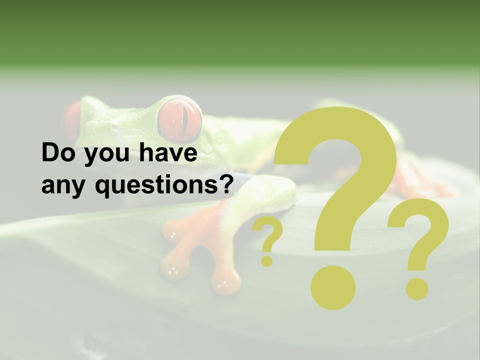 A Frog Sitting On Top Of A Green Leaf PowerPoint Template