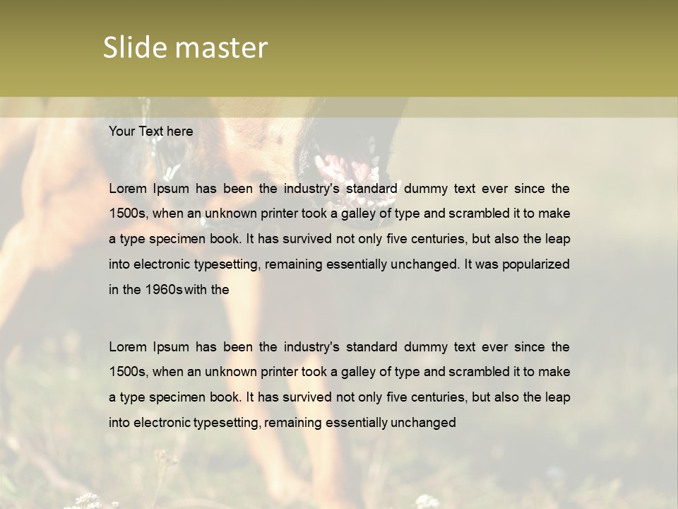 A Dog With It's Mouth Open In The Grass PowerPoint Template