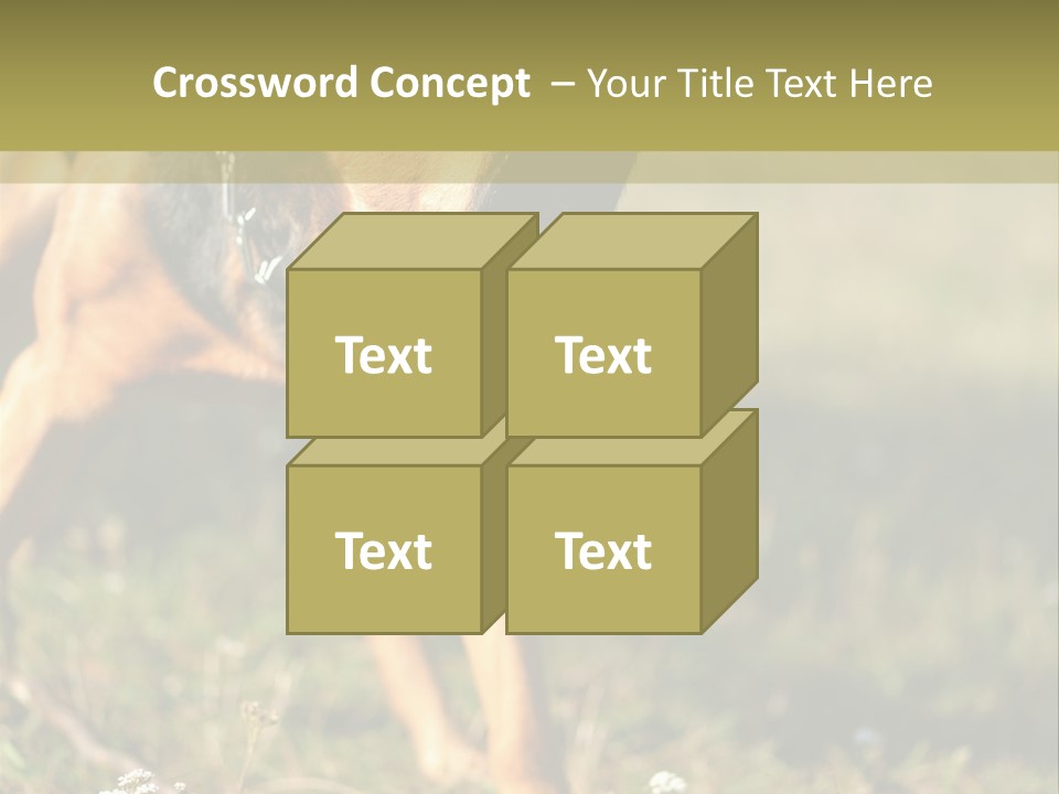 A Dog With It's Mouth Open In The Grass PowerPoint Template