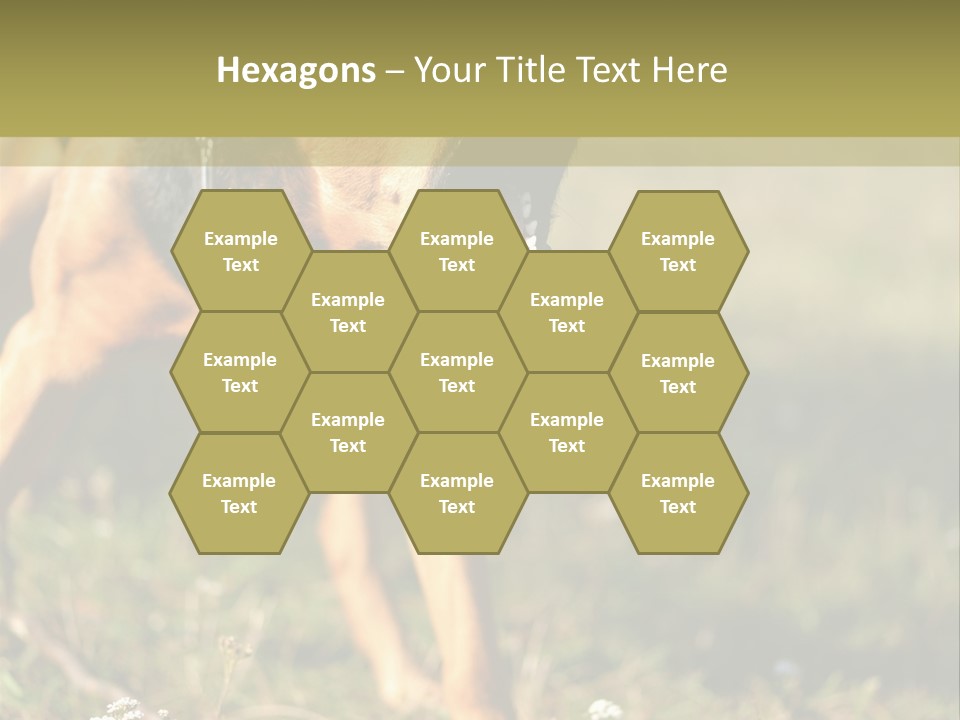 A Dog With It's Mouth Open In The Grass PowerPoint Template