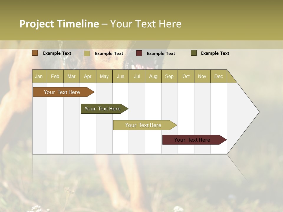 A Dog With It's Mouth Open In The Grass PowerPoint Template