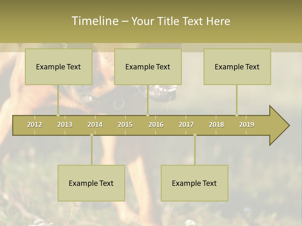 A Dog With It's Mouth Open In The Grass PowerPoint Template