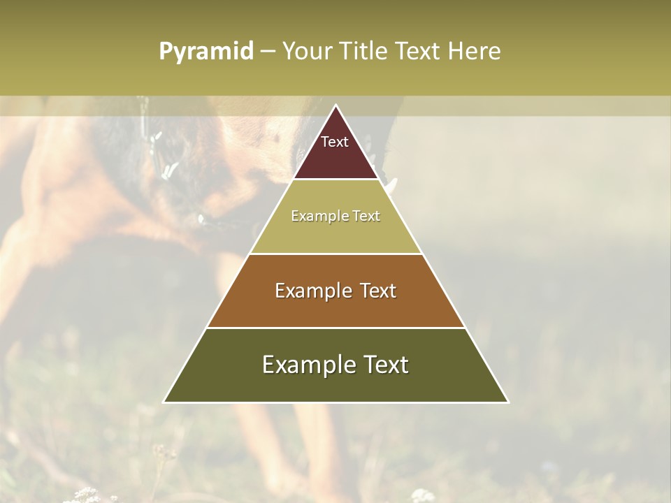 A Dog With It's Mouth Open In The Grass PowerPoint Template