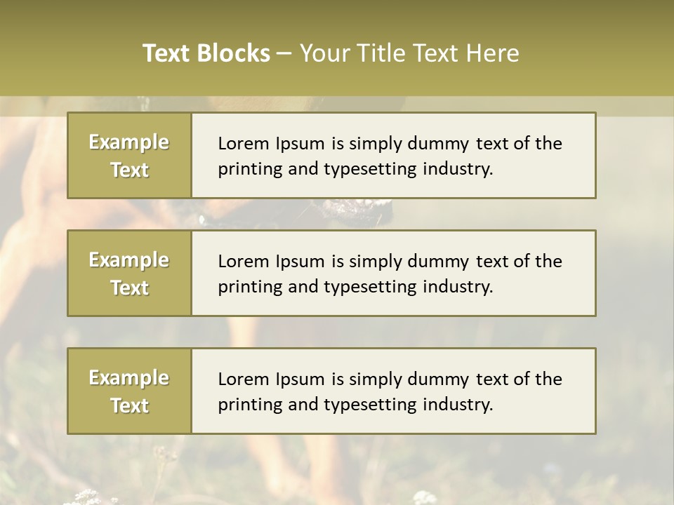 A Dog With It's Mouth Open In The Grass PowerPoint Template