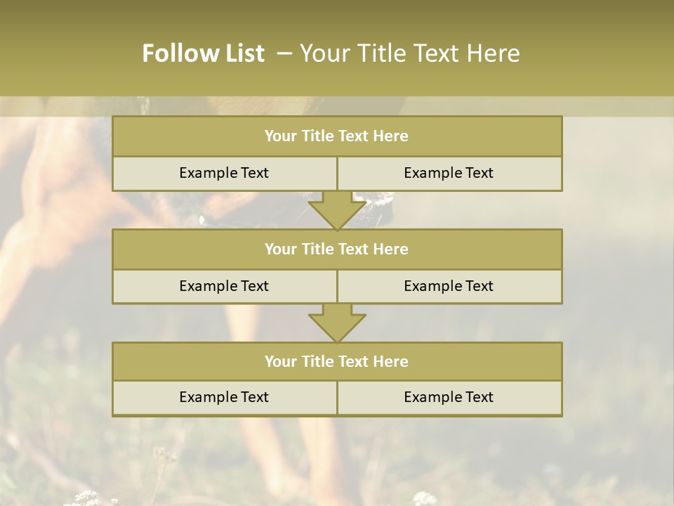 A Dog With It's Mouth Open In The Grass PowerPoint Template