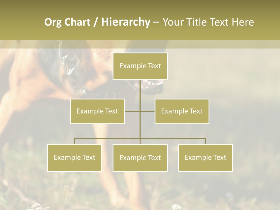 A Dog With It's Mouth Open In The Grass PowerPoint Template