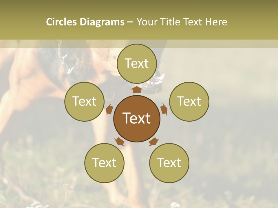 A Dog With It's Mouth Open In The Grass PowerPoint Template