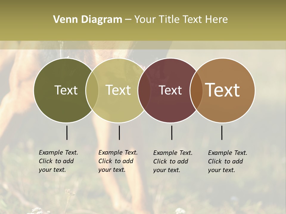 A Dog With It's Mouth Open In The Grass PowerPoint Template